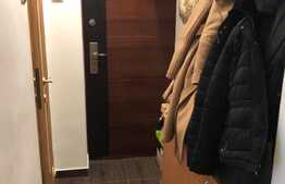 Apartament 1 camera, 30 mp, complet mobilat si utilat, zona Aleea Detunata