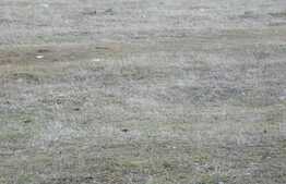 Teren intravilan in zona strazii Tineretului