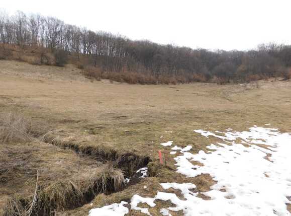 Teren de vânzare Floreşti - 36721TV | BLITZ Cluj-Napoca | Poza1