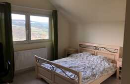 Daca vrei o casa ecologica individuala...