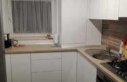 Apartament 2 camere, 57 mp utili + 60 mp terasa, zona Vivo!