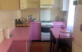 Investitia ideala (chiriasii sunt deja acolo) Apartament 1 camera, 35mp, parter inalt, zona Oncos 