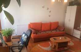 Investitia ideala (chiriasii sunt deja acolo) Apartament 1 camera, 35mp, parter inalt, zona Oncos 