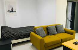 Vesti bune! Tocmai am redus pretul cu 50 euro! Daca lucrezi in zona Iulius Mall avem oferta pentru tine: studio de 40 mp cu mobilier si finisaje peste medie!