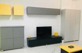 Vesti bune! Tocmai am redus pretul cu 50 euro! Daca lucrezi in zona Iulius Mall avem oferta pentru tine: studio de 40 mp cu mobilier si finisaje peste medie!