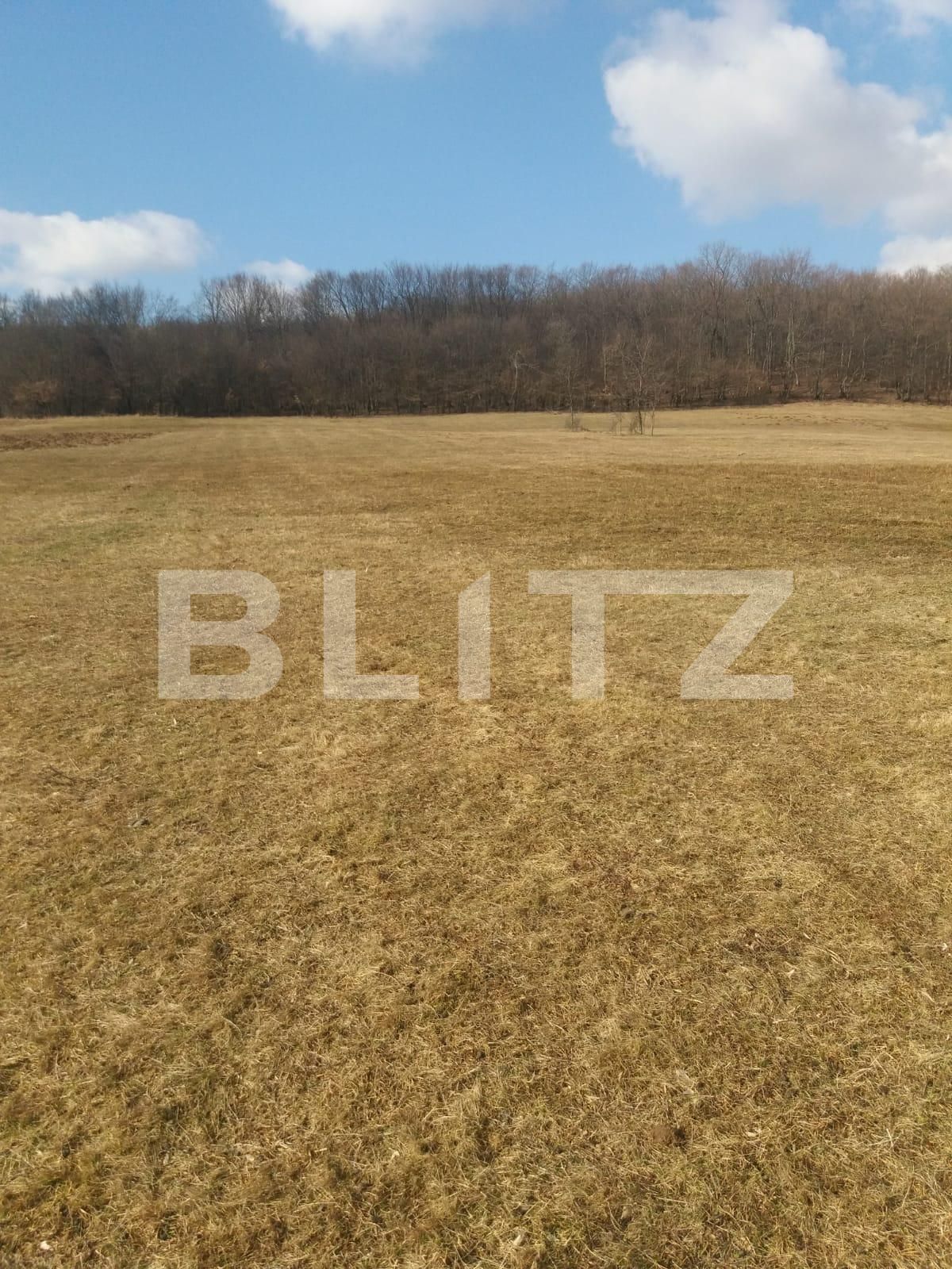 Teren de vânzare Exterior Vest - 36752TV | BLITZ Cluj-Napoca | Poza2