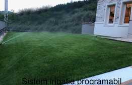 M-ai visat deseori? Acum exist in realitate!