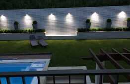 M-ai visat deseori? Acum exist in realitate!