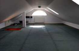 Spatiu birouri in imobil tip vila, 300 mp, zona Gradina Botanica