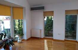 Spatiu birouri in imobil tip vila, 300 mp, zona Gradina Botanica