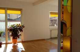 Spatiu birouri in imobil tip vila, 300 mp, zona Gradina Botanica