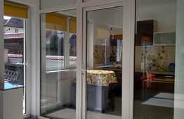 Spatiu birouri in imobil tip vila, 300 mp, zona Gradina Botanica