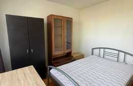 Apartament 2 camere, 48 mp, Cat Friendly, zona Hotel Royal