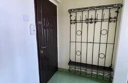 Apartament 2 camere, 48 mp, Cat Friendly, zona Hotel Royal