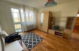 Apartament 2 camere, 48 mp, Cat Friendly, zona Hotel Royal