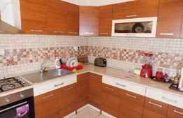 Duplex cu 4 camere, acces restrictionat, Zona Terra