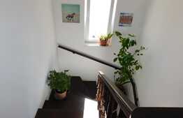 Duplex cu 4 camere, acces restrictionat, Zona Terra