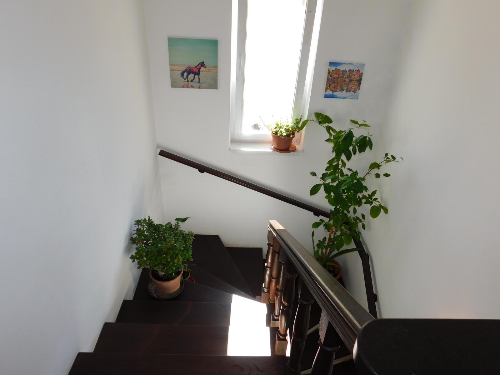 Casa de vânzare 4 camere Floreşti - 36778CV | BLITZ Cluj-Napoca | Poza9