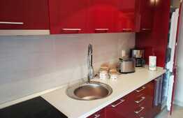 Apartament 2 camere, 50 mp, prima inchiriere, A.C., parcare subterana, zona Complex Flora Parc