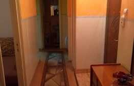 Apartament 2 camere, 50 mp utili, decomandat, priveliste frumoasa, zona Casa Radio.