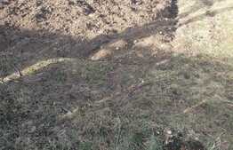 Teren intravilan pentru constructie de casa sau duplex