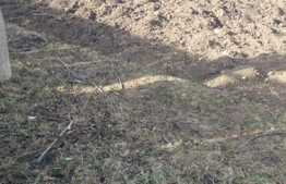 Teren intravilan pentru constructie de casa sau duplex