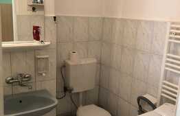 Apartament 1 camera decomandat, 45 mp, zona Lidl