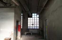 Hala cu teren in Izvorul Crisului. 