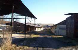 Hala cu teren in Izvorul Crisului. 