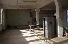 Hala cu teren in Izvorul Crisului. 