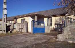 Hala cu teren in Izvorul Crisului. 