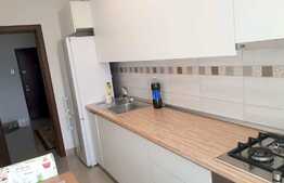 Apartament 2 camere, 56 mp, zona Corneliu Coposu