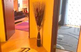Apartament 2 camere,decomandat,46 mp,etaj intermediar, zona Florilor, Floresti