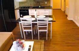 Oportunitate de investitie, zona VIVO