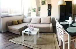 Oportunitate de investitie, zona VIVO