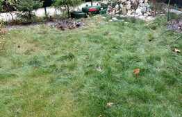 Apartament 2 camere, 56 mp, decomandat, gradina, zona strazii Eroilor