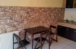 Investitia ideala (chiriasii sunt deja acolo) Apartament in zona Facultatii de Litere!