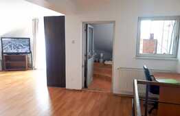 Apartament 2 camere, 105 mp, pet friendly, parcare, zona Calea Turzii
