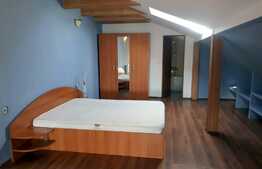 Apartament 2 camere, 105 mp, pet friendly, parcare, zona Calea Turzii