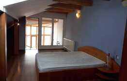 Apartament 2 camere, 105 mp, pet friendly, parcare, zona Calea Turzii