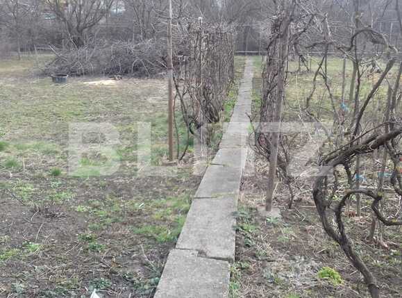 Casa de vânzare 2 camere Dambul Rotund - 36920CV | BLITZ Cluj-Napoca | Poza3