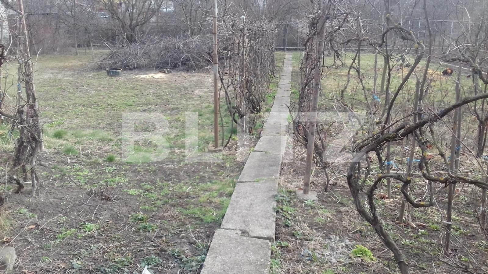 Casa de vânzare 2 camere Dambul Rotund - 36920CV | BLITZ Cluj-Napoca | Poza3