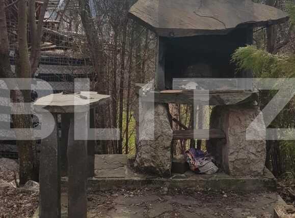 Casa de închiriat 3 camere Dambul Rotund - 36928CI | BLITZ Cluj-Napoca | Poza14