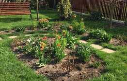 Vrei casa cu o curte generoasa?