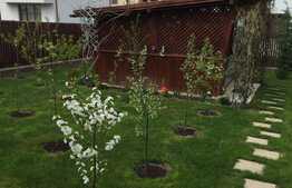 Vrei casa cu o curte generoasa?