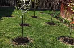 Vrei casa cu o curte generoasa?