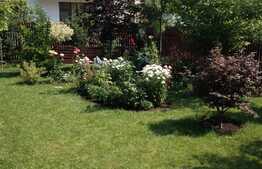 Vrei casa cu o curte generoasa?