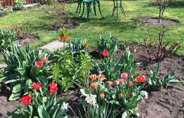 Vrei casa cu o curte generoasa?