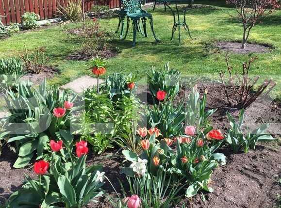 Casa de vânzare 4 camere Floreşti - 36935CV | BLITZ Cluj-Napoca | Poza20