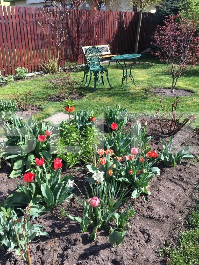 Casa de vânzare 4 camere Floreşti - 36935CV | BLITZ Cluj-Napoca | Poza20